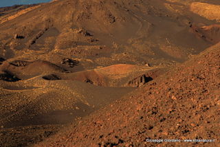nti Silvestri08-11-2012 15-08-55
